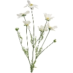 Cosmos Orion ArtificialNature, creme, 92 cm