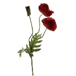 Poppy flora spray ArtificialNature, rot, 70 cm