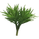 Crassula Himalaya pick ArtificialNature, grün, 15 cm