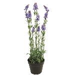 Lavendel im Topf ArtificialNature, lila, 65 cm