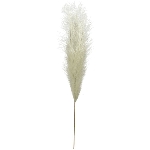 PampasGras ArtificialNature, creme, 130 cm