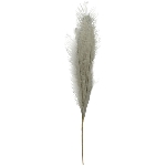 PampasGras ArtificialNature, grau, 130 cm