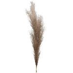 PampasGras ArtificialNature, braun, 130 cm