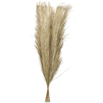 PalmGras Aride, natur, 110 cm