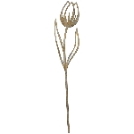 BlumenStecker Doré, rusty, Metall, 11x0,1x45 cm