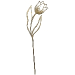 BlumenStecker Doré, rusty, Metall, 11x0,1x45 cm