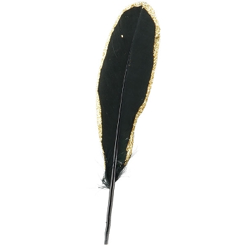 FederSet/5 FedeR, Feder, 5x0,1x19 cm