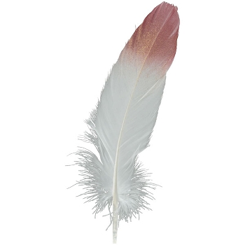 FederSet/5 FedeR, Feder, 5x0,1x19 cm