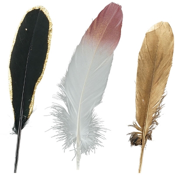 FederSet/5 FedeR, Feder, 5x0,1x19 cm