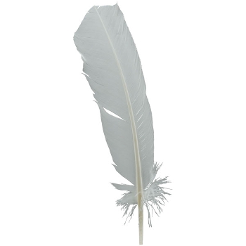 FederSet/3 ArtificialNature, Feder, 29x0,5x4,5 cm