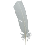 FederSet/3 ArtificialNature, Feder, 29x0,5x4,5 cm