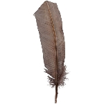 FederSet/3 ArtificialNature, Feder, 29x0,5x4,5 cm