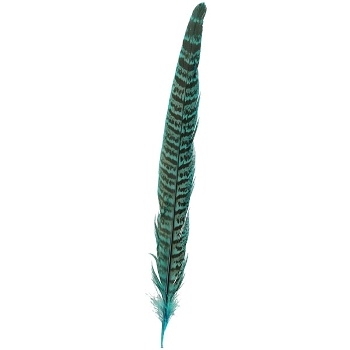 FederSet/6 FedeR, Feder, 2,5x0,1x26 cm