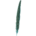FederSet/6 FedeR, Feder, 2,5x0,1x26 cm