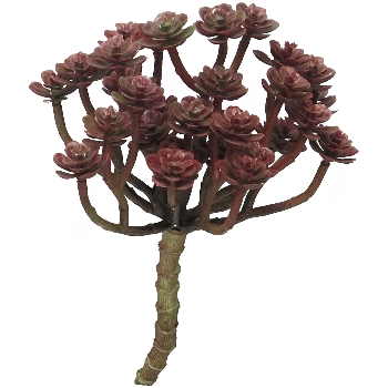 SukkulentenZweig ArtificialNature, weinrot, 19 cm