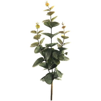 Eukalyptus ArtificialNature, dunkel grün, 38 cm
