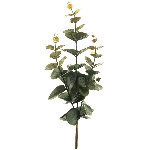 Eucalyptus pick ArtificialNature, dunkel grün, 38 cm