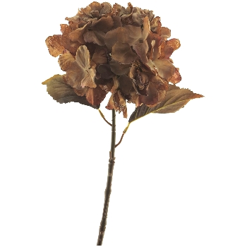 Hortensie ArtificialNature, braun, 63 cm