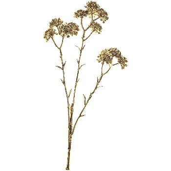 BeerenZweig ArtificialNature, gold, 43 cm