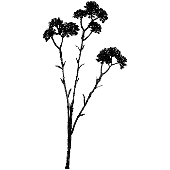 BeerenZweig ArtificialNature, schwarz, 43 cm