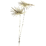 PalmBlattZweig ArtificialNature, champagner, 48 cm