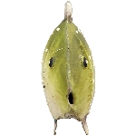 Fisch Kanu, türkis/gelb/pink, Metall, 18x3x7 cm