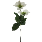 ChristRose ArtificialNature, creme, 34 cm