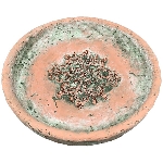 Schale moola, terra/grün, Zement, 23,5x23,5x4,5 cm