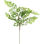 FrauenHaarFarn ArtificialNature, grün, 53 cm