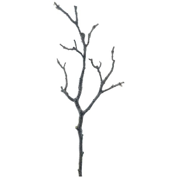 MagnolienZweig ArtificialNature, braun, 44 cm