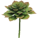 Sukkulente ArtificialNature, grün, 17 cm
