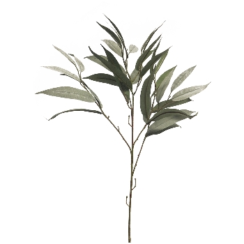 Eukalyptus ArtificialNature, grün, 76 cm