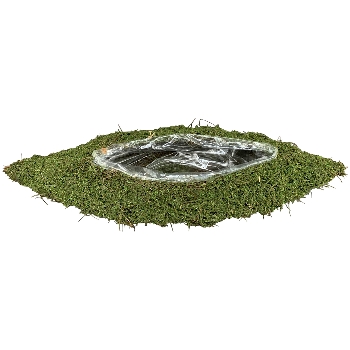 PflanzSchale Willow, grün, Moos, 43x12x8 cm