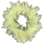 FederKranz FedeR, grün, Feder, Ø 25 cm