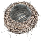 PflanzKorb Willow, Rattan, 22x22x12 cm