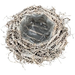 PflanzKorb Willow, braun, Rattan, 25x25x12 cm