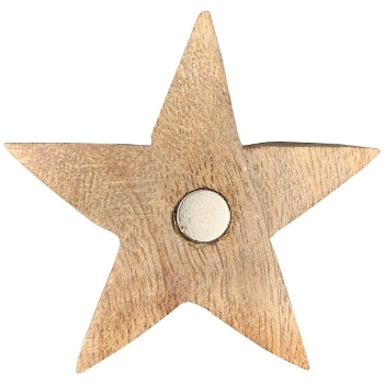 SternMagnet Dost, natur, Holz, 6x1x6 cm