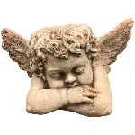 PflanzEngel TARO, creme, MGO, 59x36x36 cm