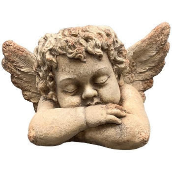 PflanzEngel TARO, creme, MGO, 59x36x36 cm