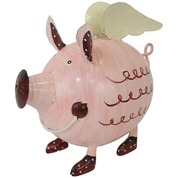SparDose Schwein Kanu, Metall, 20x12x18 cm