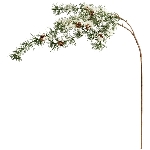 TannenZapfenZweig ArtificialNature, PE, 121 cm
