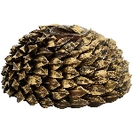 KerzenHalter Aride, Pod, 18x18x8,5 cm