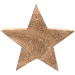 Stern Dost, natur, Holz, 20x20x3 cm