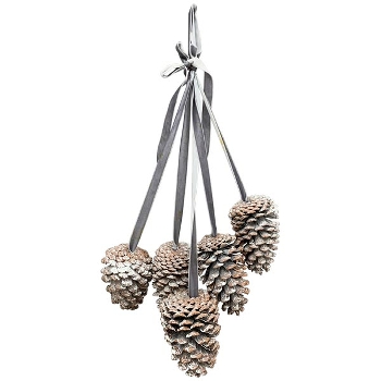 ZapfenHänger Aride, natur/weiß, Zapfen, 12x8x56 cm