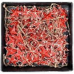 SternHänger Dost, rot, Metall, 7x0,5x7 cm