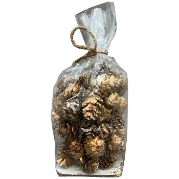 Zapfen Aride, gold, Zapfen, 10x14x10 cm