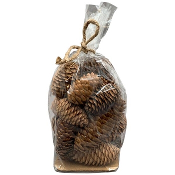 Zapfen Aride, natur, Zapfen, 10x14x10 cm