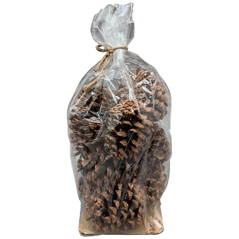 Zapfen Aride, natur, Zapfen, 13,5x21x13,5 cm