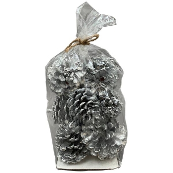 Zapfen Aride, Zapfen, 13,5x21x13,5 cm
