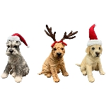 Hund Lilian, braun, Polyresin, 20x15,5x25,5 cm